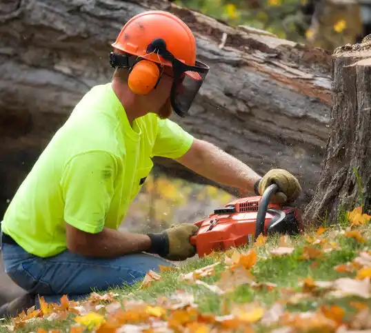 tree services Holiday Lakes